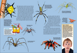 Entdecke die Spinnen / Kinderbuch
