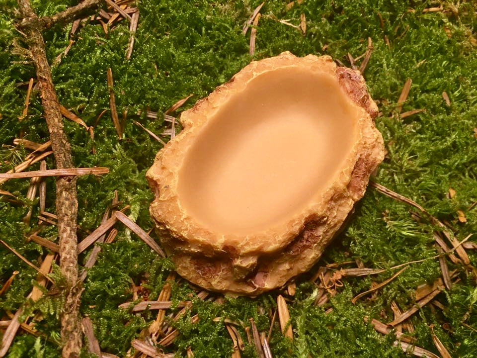 Hobby Trinkschale Flach L - 20x15x2cm Für Schildkröten