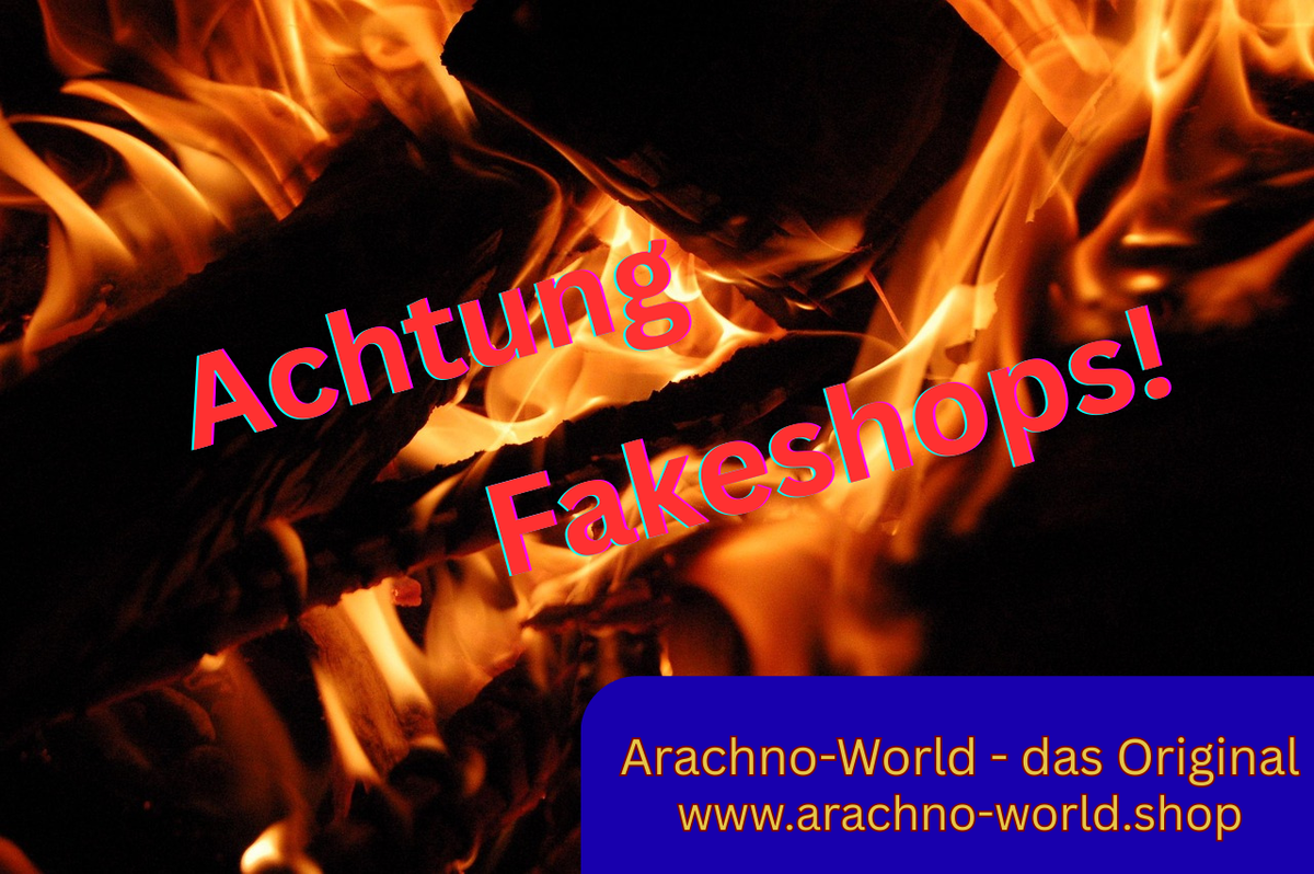 arachnoweb.com product image