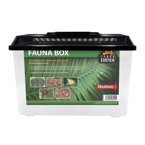 Fauna Box - medium