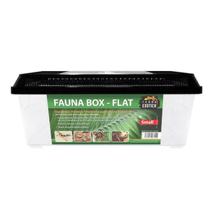 Fauna Box Flat - small