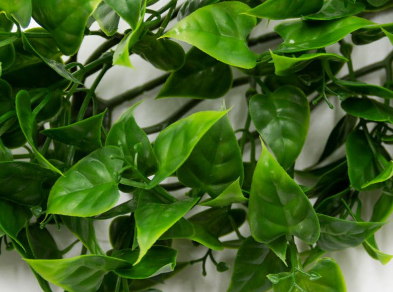 hanging monstera Dlight Decor 180cm Hanging Monstera Vine with Turtle Leaves main image 0