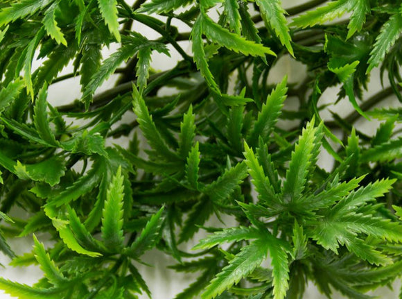 Terrarien Kunstpflanzen Vine Small