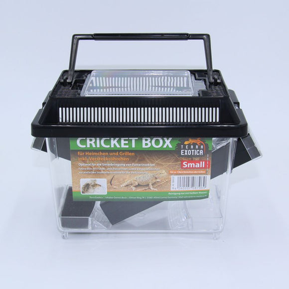 Cricket Box - small