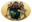 Arachno-World/shop logo