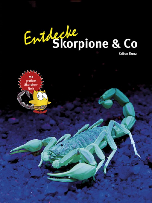 Entdecke Skorpione & Co / Kinderbuch