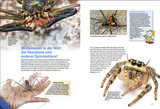 Entdecke Skorpione & Co / Kinderbuch