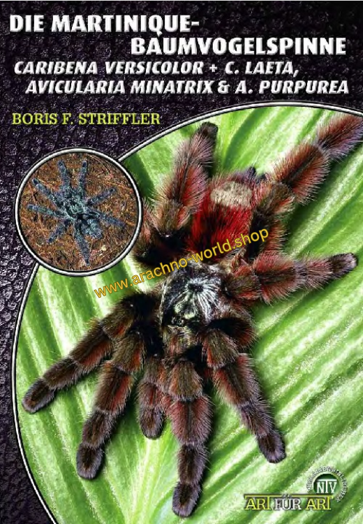 Art für Art - Die Martinique-Baumvogelspinne