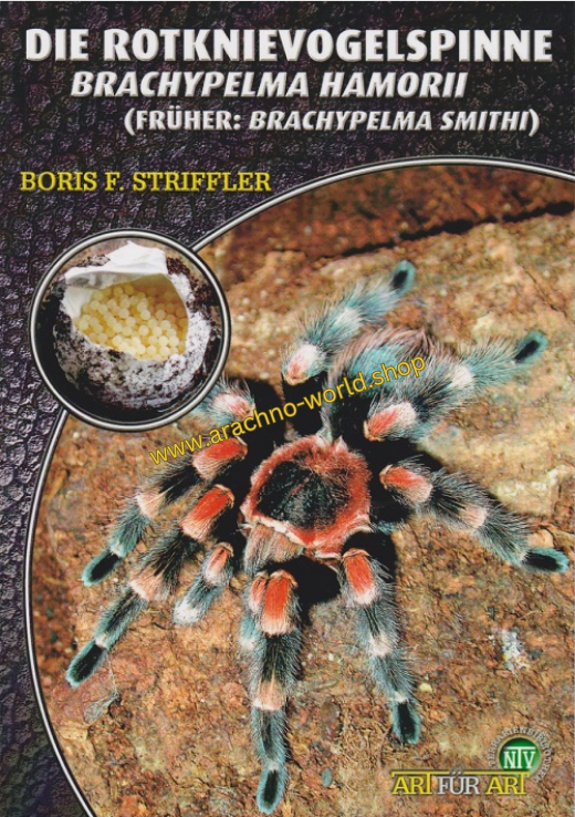 Art für Art - Die Rotknievogelspinne