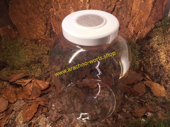 5000ml Aufzuchtdose rund klar mit Edelstahl-Gaze