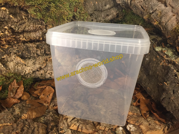 Aufzuchtdose 5000ml eckig mit doppelter Gaze