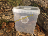 Aufzuchtdose 5000ml eckig mit doppelter Gaze