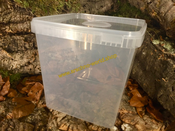 Aufzuchtdose 5000ml eckig mit Gaze