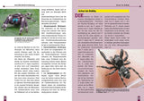 Art für Art - Springspinnen