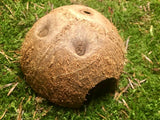 Kokosnuss Schale - Halb