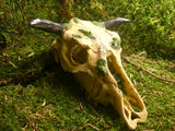 Totenkopf Wasserbüffel S