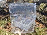 Aufzuchtdose eckig 3,0l BraPlast transparent