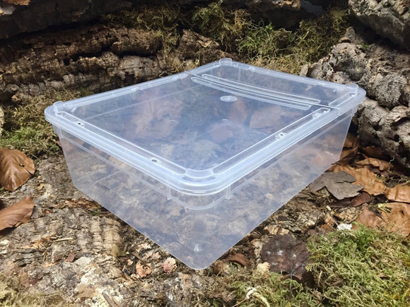 Aufzuchtdose eckig 3,0l BraPlast transparent