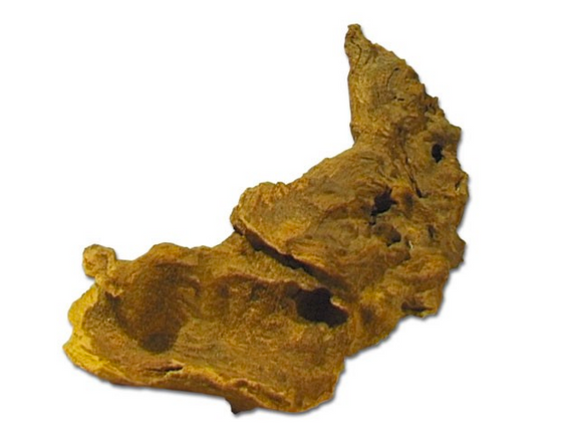 Savannenholz 1kg