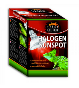 Halogen Sunspot 75 Watt