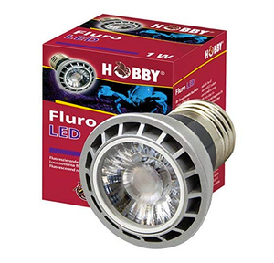 Hobby Fluro LED 1 W