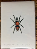 Davus pentaloris Kunstdruck - limitiert und signiert DIN A4