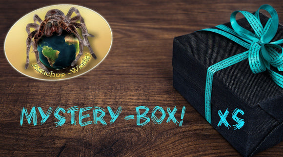 Mystery-Boxen XS 