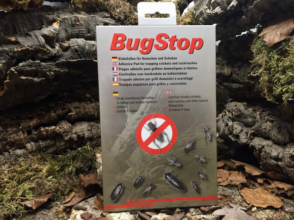 Bug Stop Klebefalle für Heimchen und Schaben