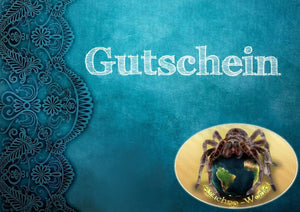 Gutschein 25,-€