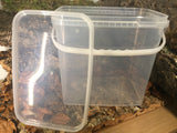 Aufzuchtdose eckig 10,6L