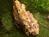 Drachenstein Ohko