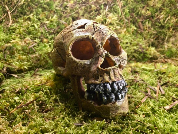 Totenkopf Mensch S