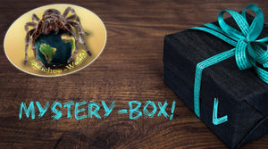 Mystery-Box L