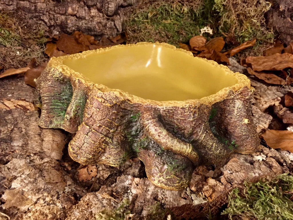 VILLFUL Reptilien Futternapf 3er Set - Keramik Schalen 5x2cm Für Bartagamen