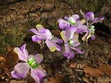 Magnolie violett Kunstpflanze