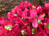Magnolie pink Kunstpflanze
