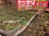 Terrano Terrarien Moos Hobby