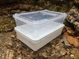 Aufzuchtdose eckig 0,8l BraPlast transparent
